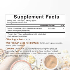 Deal Supplement Lions Mane powder texture close-up ideal for smoothies and shakes