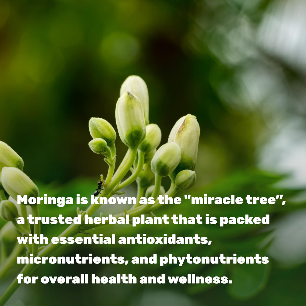 DEAL SUPPLEMENT Moringa Capsules nutrition label and packaging emphasize a green superfood profile.