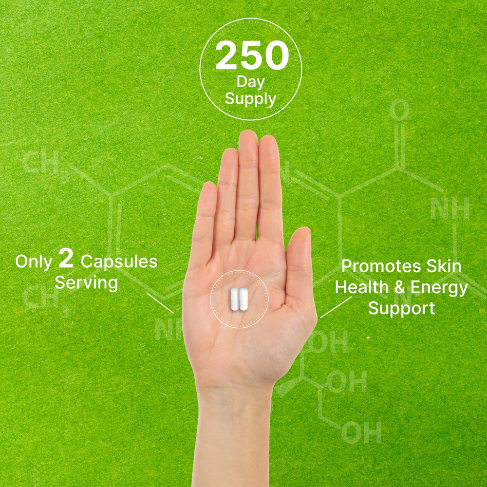 DEAL SUPPLEMENT Nicotinamide 1000mg capsules in hand easy on the go support.