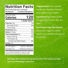Close up of unflavored pea protein isolate showing purity and texture.