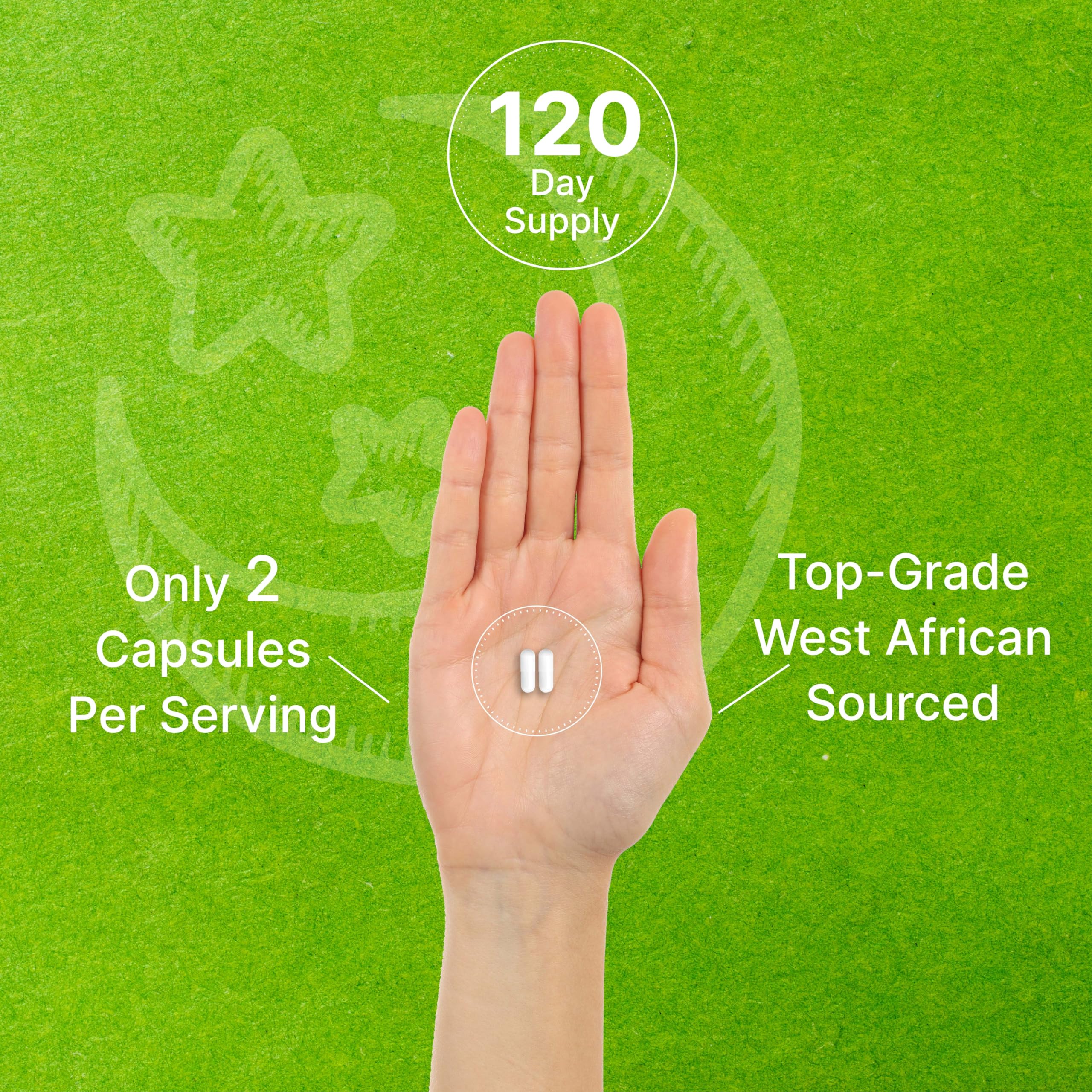 Deal Supplement serving size two capsules illustration for dosing