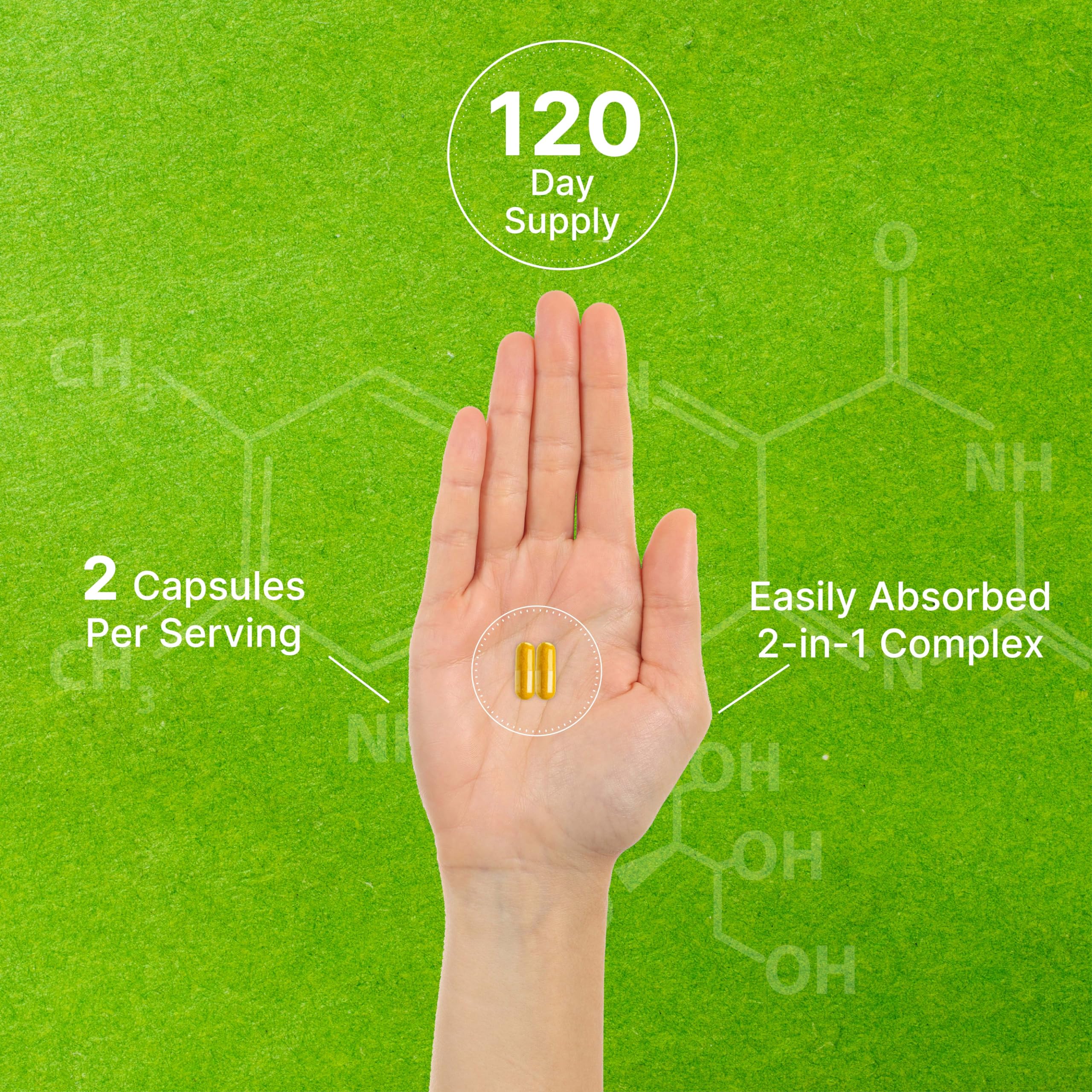 Deal Supplement Vitamin B2 daily two-capsule serving held in hand for balance.
