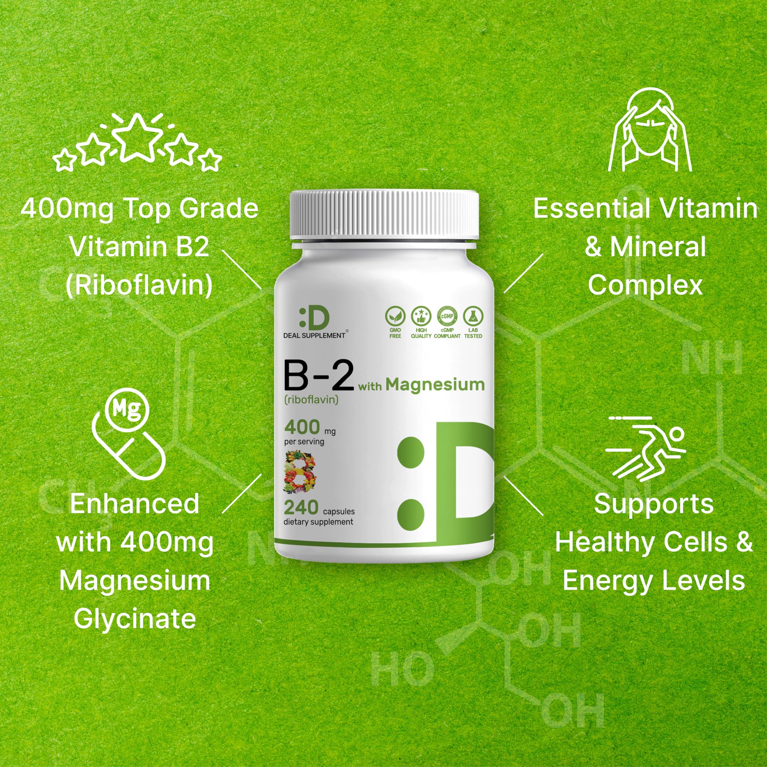 Deal Supplement Vitamin B2 nutrition facts panel emphasizing high bioavailability.
