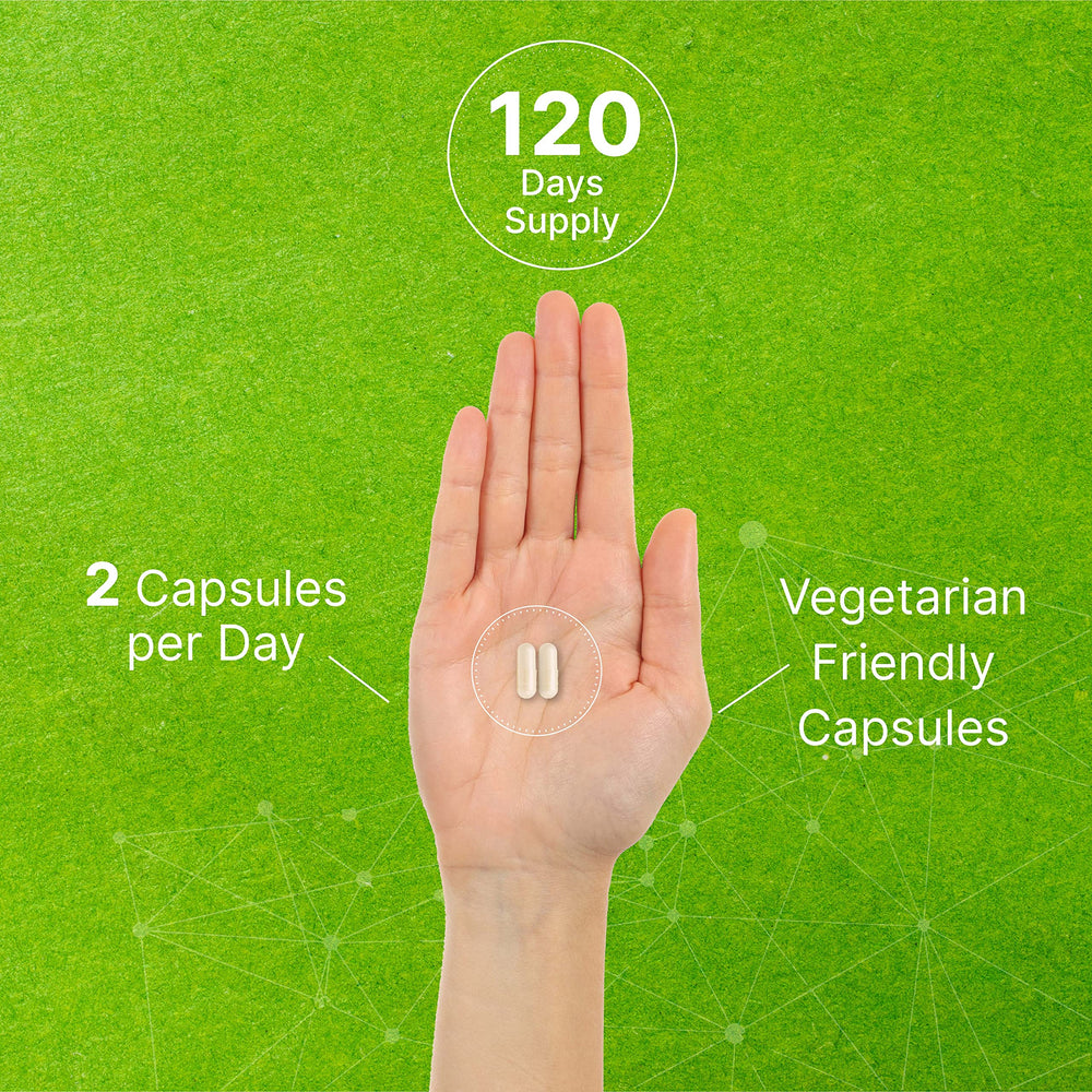 DEAL SUPPLEMENT DIM daily-dose guide shows two capsules per day.