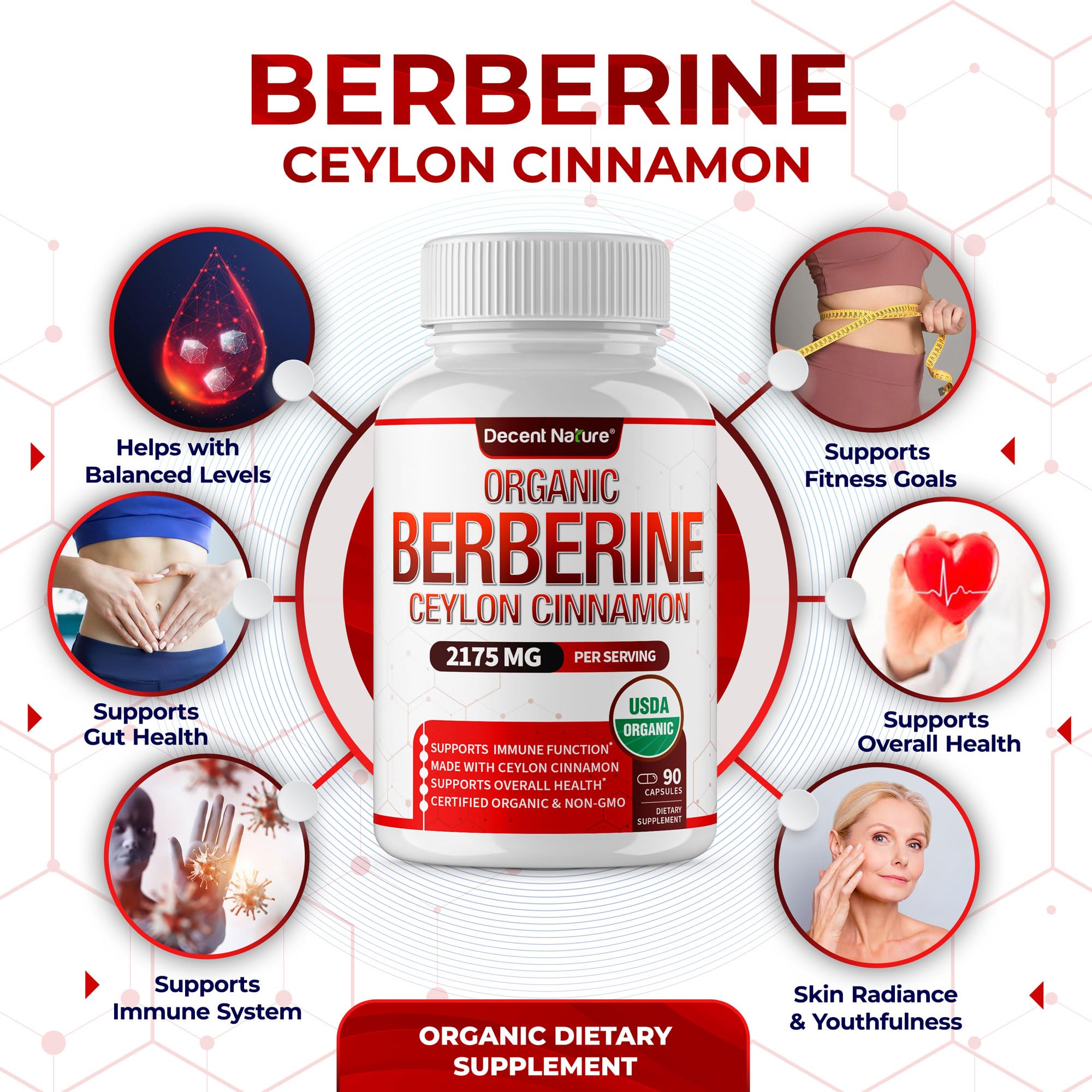 DECENT NATURE Berberine Cinnamon capsules close-up for easy daily use.