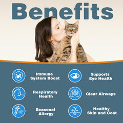 Derggzey L-Lysine dropper shows precise daily dosing for cats.