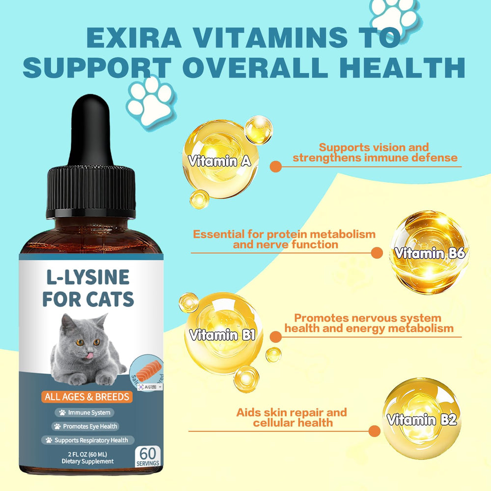 Derggzey Lysine for Cats packaging highlights immune support features.