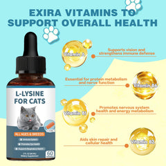 Derggzey Lysine for Cats packaging highlights immune support features.