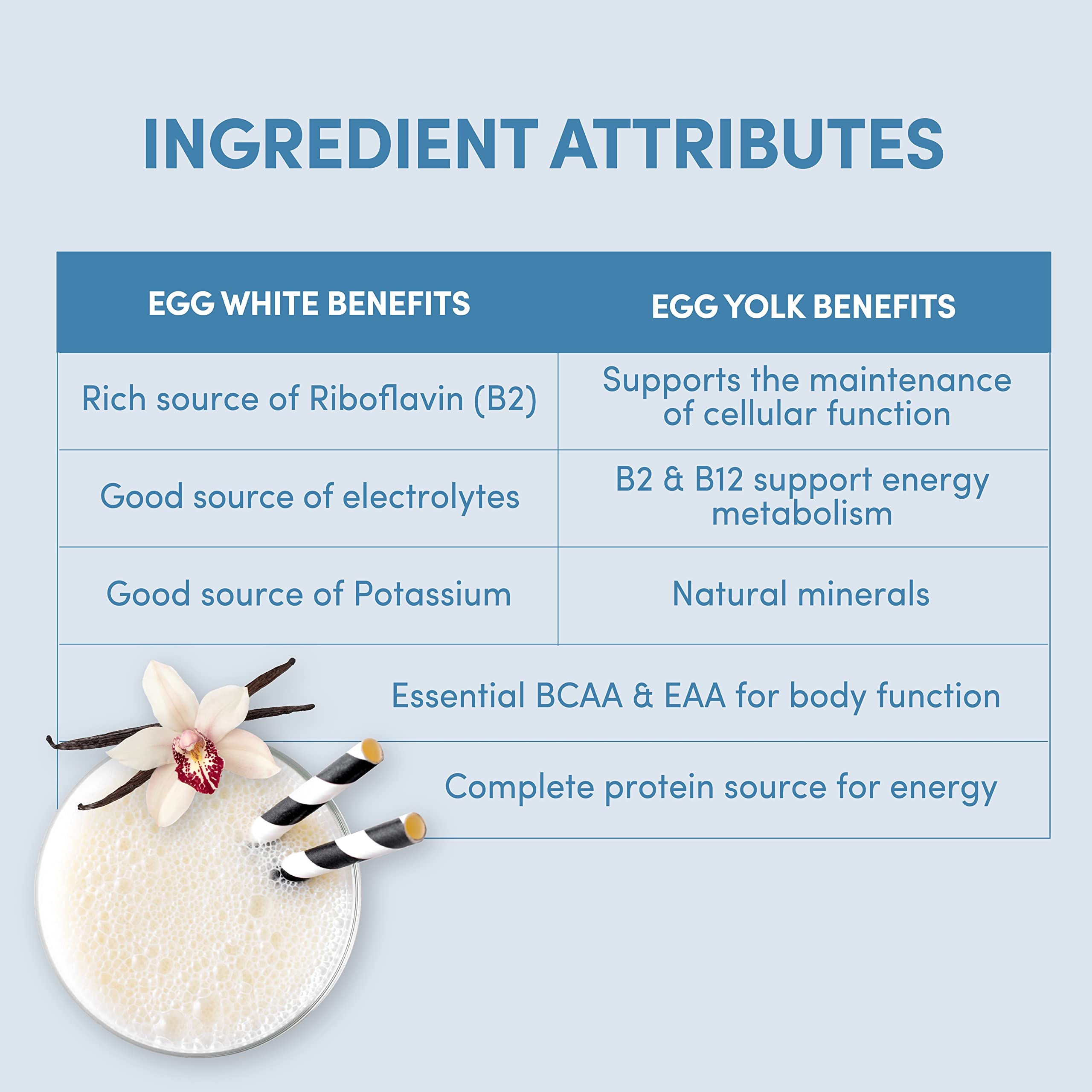 Designer Wellness Designer Egg vanilla baking idea demonstrates versatile protein use