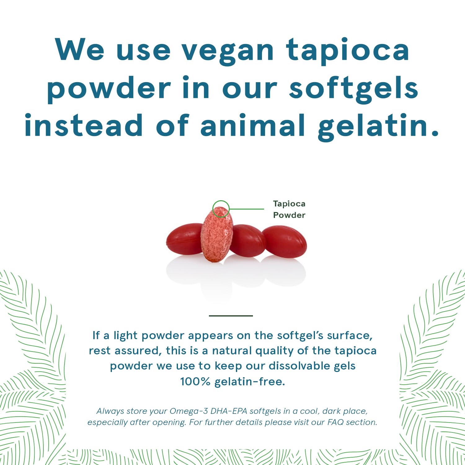 Softgels close-up shows algae-derived DHA for vegan diets.
