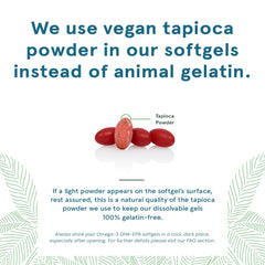 Softgels close-up shows algae-derived DHA for vegan diets.