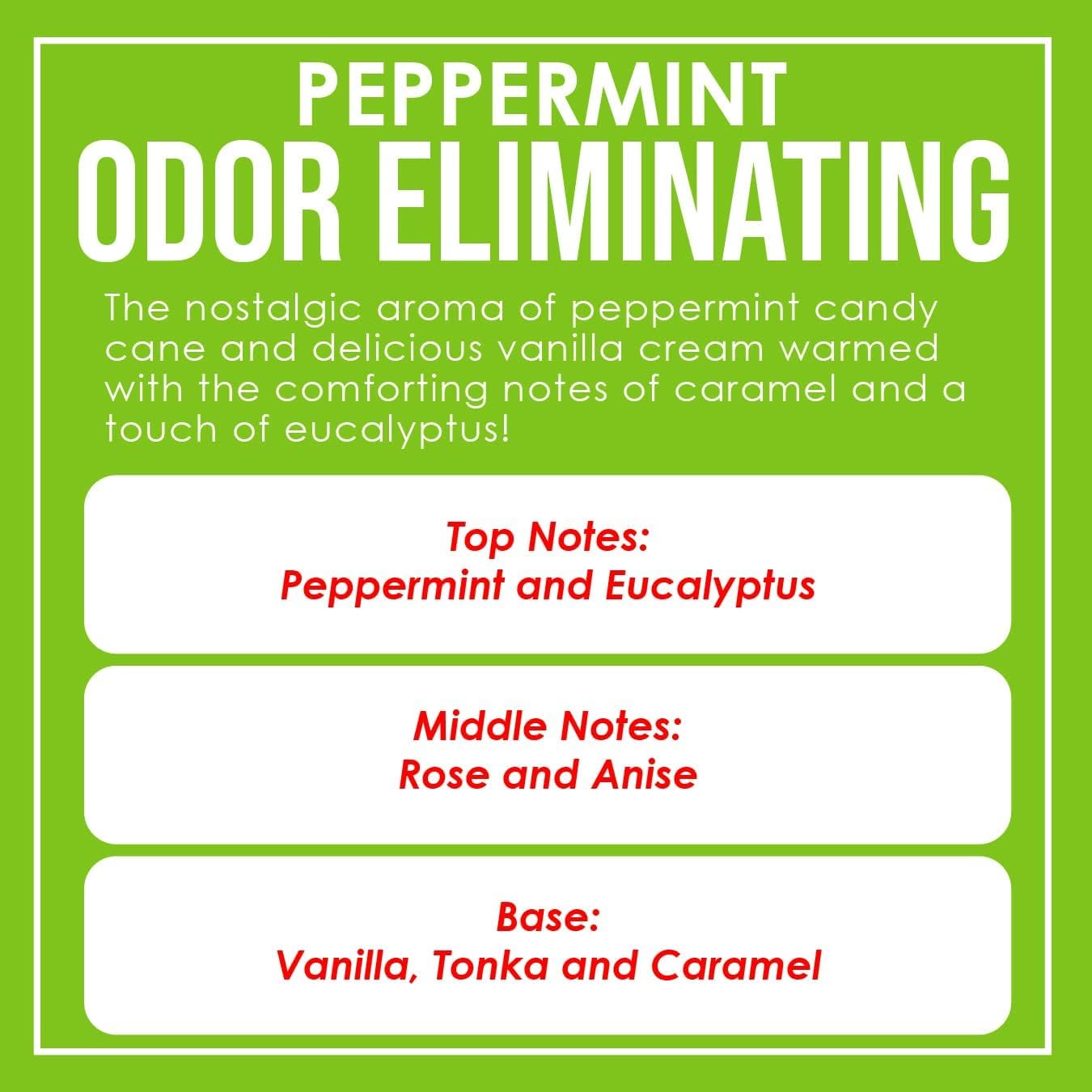 Close-up of wax blend in Dianne's Peppermint Two-Pack showing premium soy formulation.