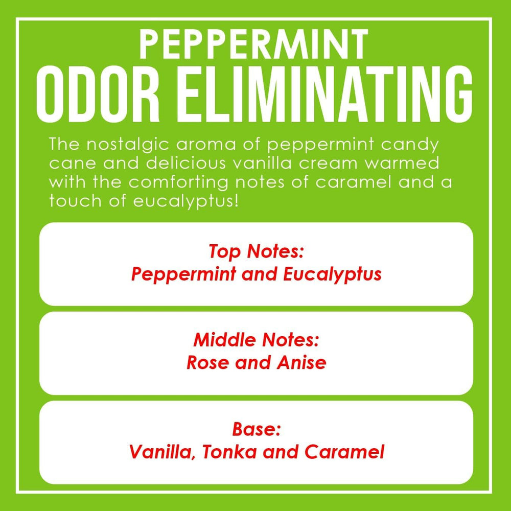 Close-up of wax blend in Dianne's Peppermint Two-Pack showing premium soy formulation.