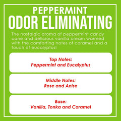 Close-up of wax blend in Dianne's Peppermint Two-Pack showing premium soy formulation.