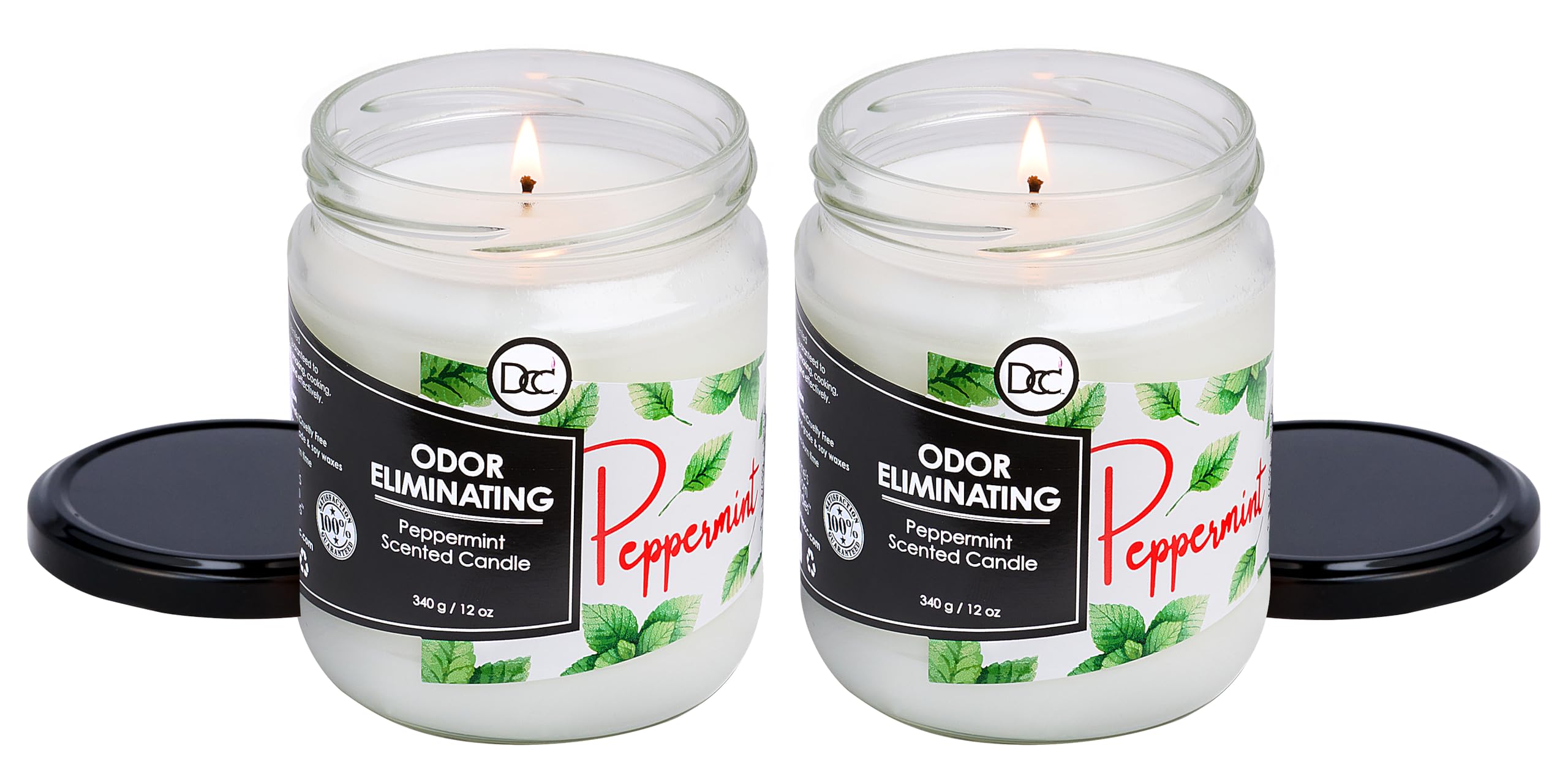 Packaging box of Dianne's Peppermint Two-Pack highlights odor-eliminating design for quick room refresh.