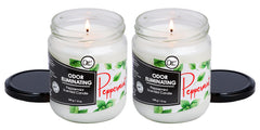 Packaging box of Dianne's Peppermint Two-Pack highlights odor-eliminating design for quick room refresh.