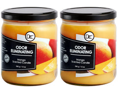 Dianne's Mango Two Pack Candle packaging for gifting and home fragrance.