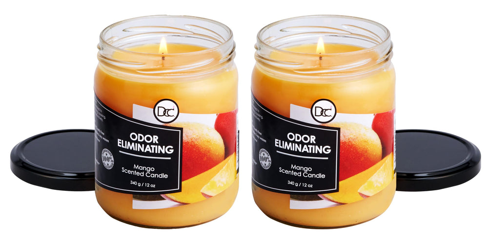 Dianne's Mango Two Pack wax blend showcases premium soy for a clean burn.