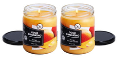 Dianne's Mango Two Pack wax blend showcases premium soy for a clean burn.