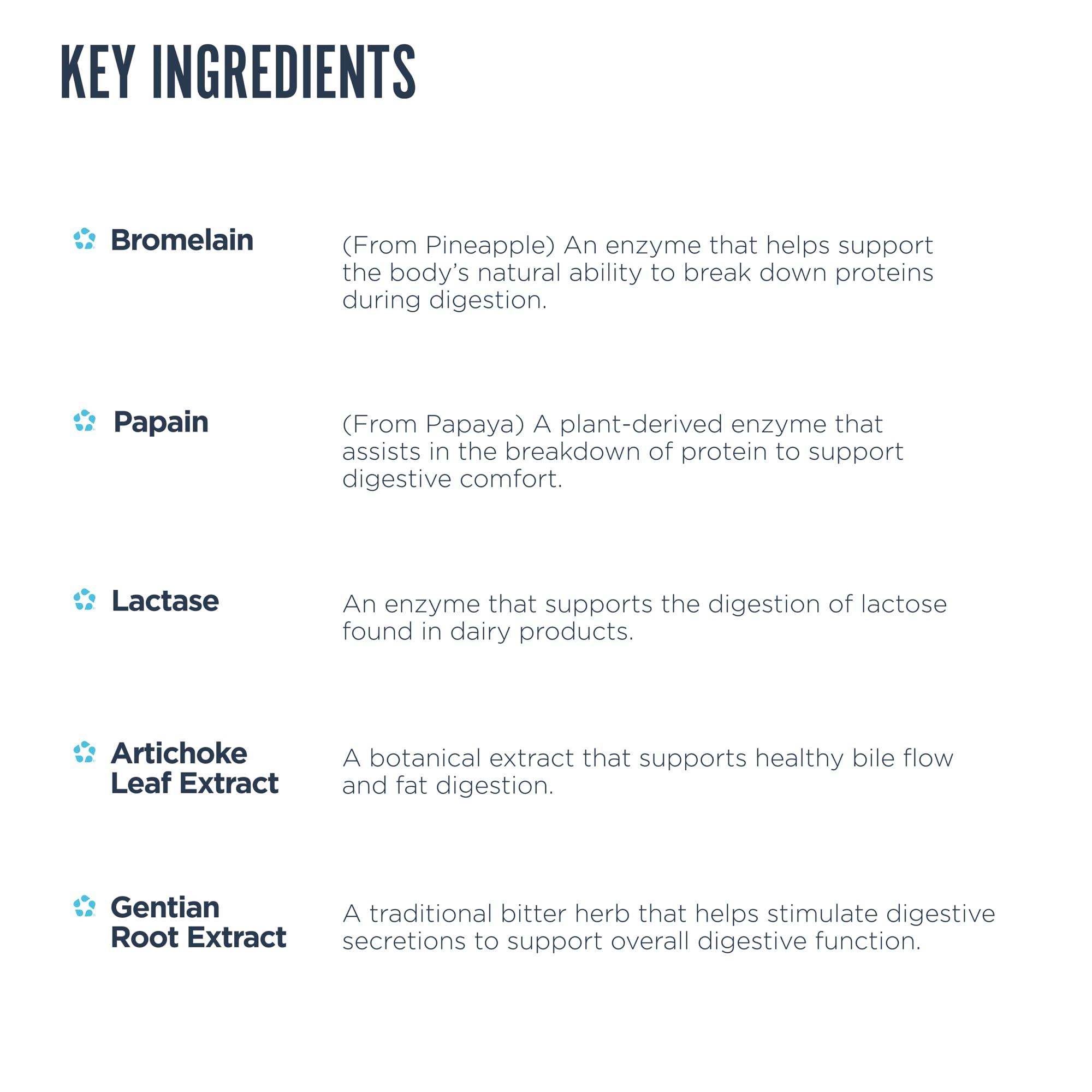 Digest Aid enzyme blend with amylase, protease and lipase aiding meal breakdown.