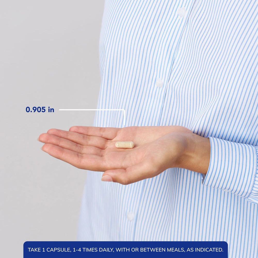 Digestive support visual scene suggests meal time comfort after eating.