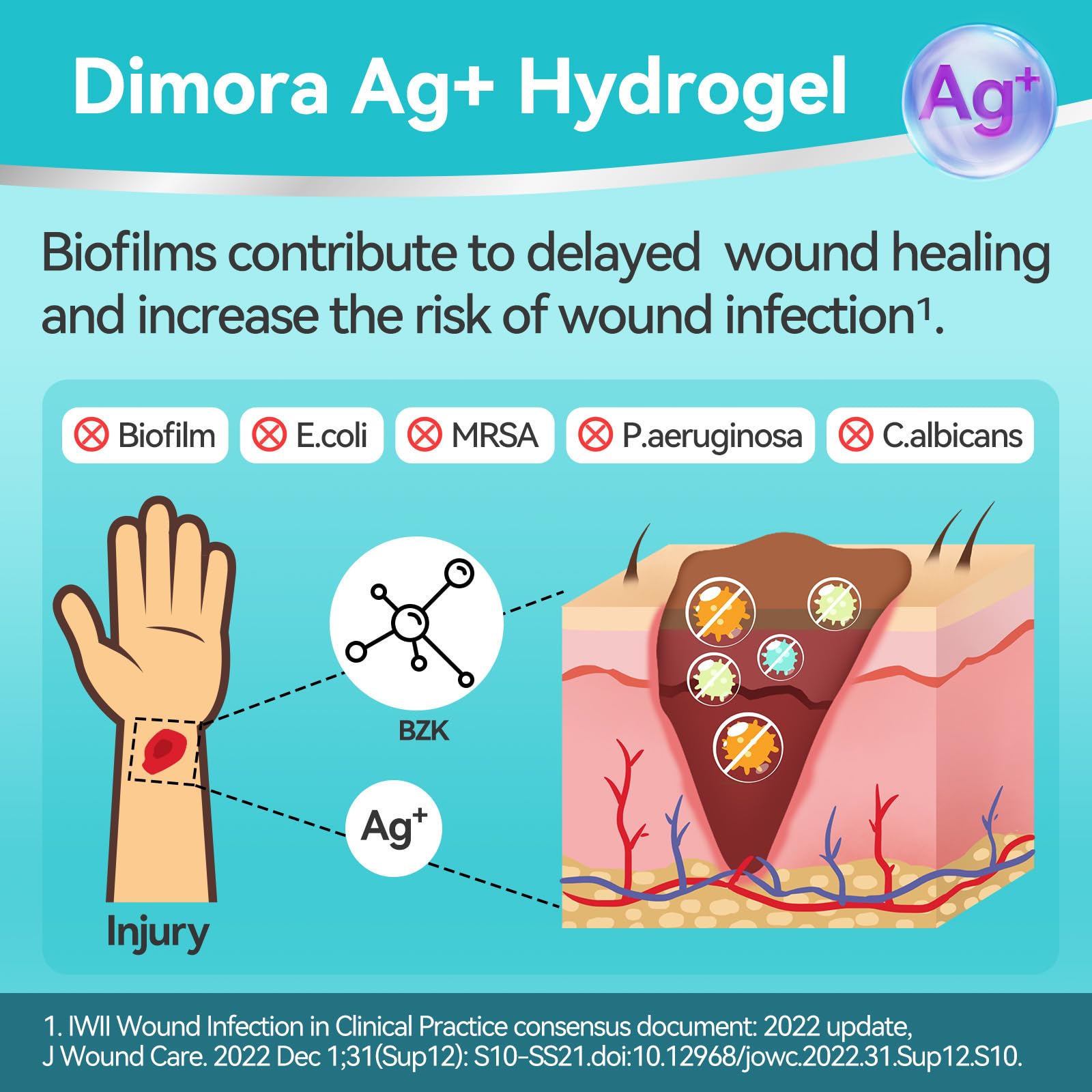 Dimora moisture-balanced hydrogel keeps wound hydrated during activity