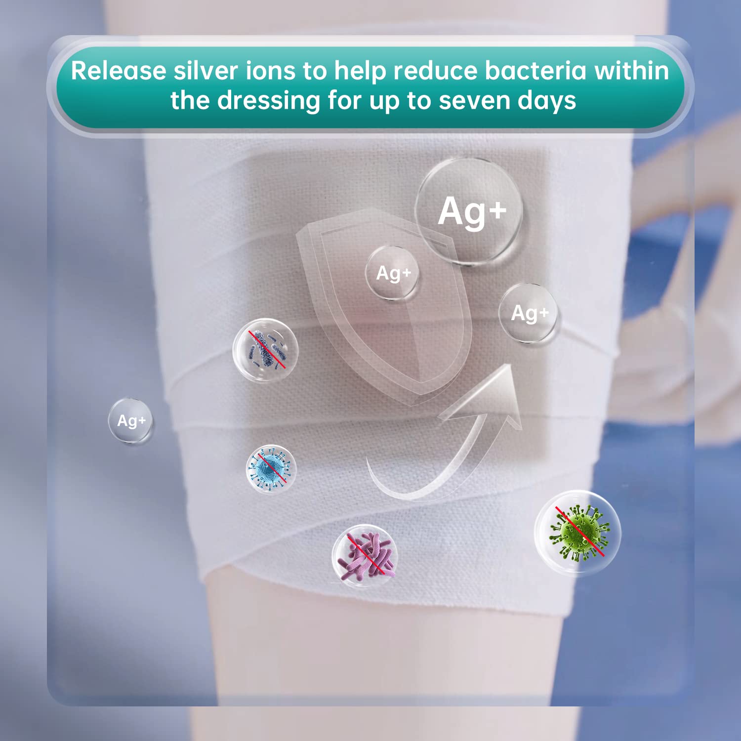 Dimora Upgrade gel-forming alginate keeps a moist wound environment.