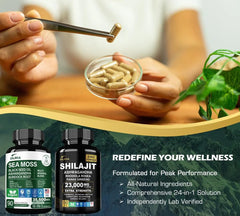 DLNIA Ashwagandha 5000mg capsules positioned for stress resilience