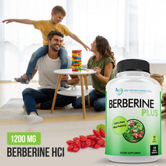 DOCTOR RECOMMENDED SUPPLEMENTS Berberine Plus ingredients label close-up showing purity and single-ingredient formula