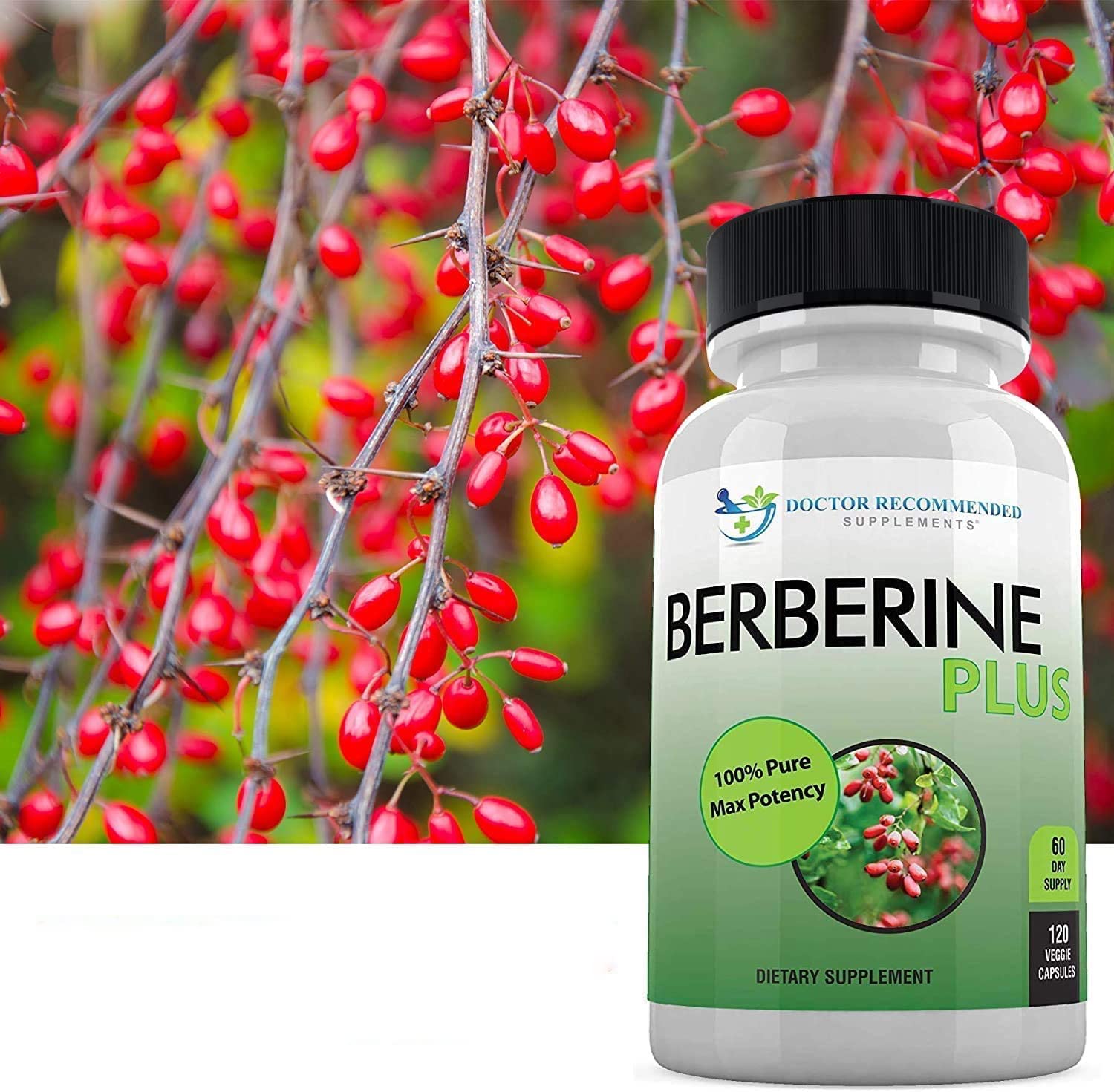 Berberine Plus bottle-group with two bottles for extended supply