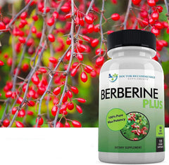 Berberine Plus bottle-group with two bottles for extended supply