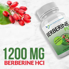 Berberine Plus label-shot highlighting US-made, third-party tested quality
