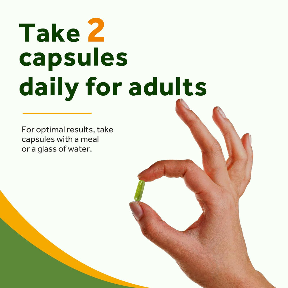 Doctor's Recipes Moringa green superfood concept with leaves and capsules