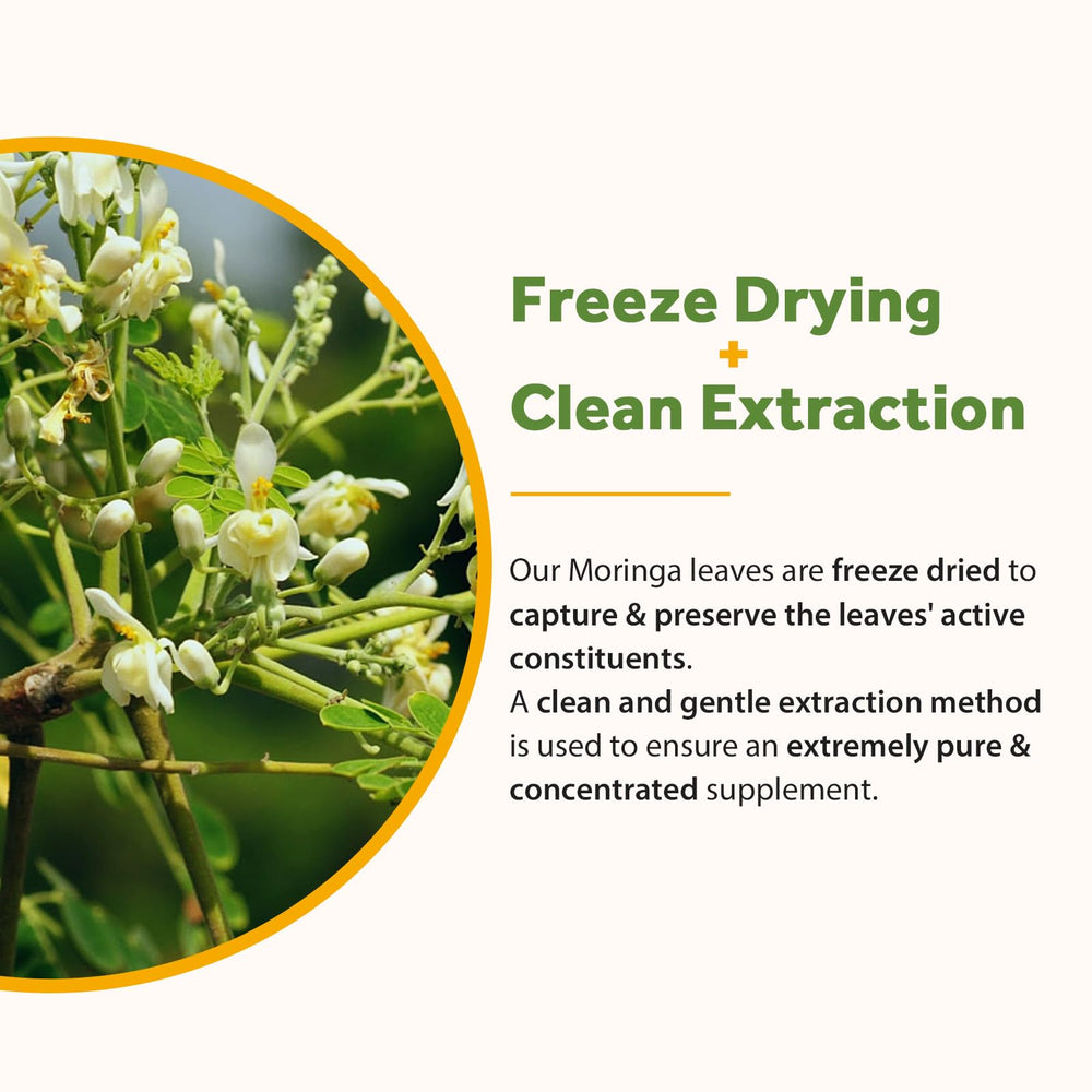 Graphic shows 92 nutrients and 46 antioxidants in Doctor's Recipes Moringa