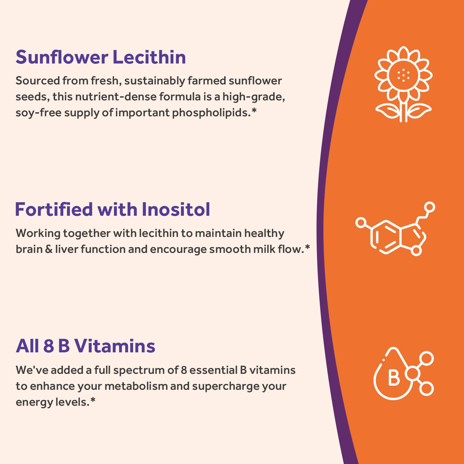 Doctor's Recipes Sunflower Lecithin bottle resting beside fresh sunflower seeds.