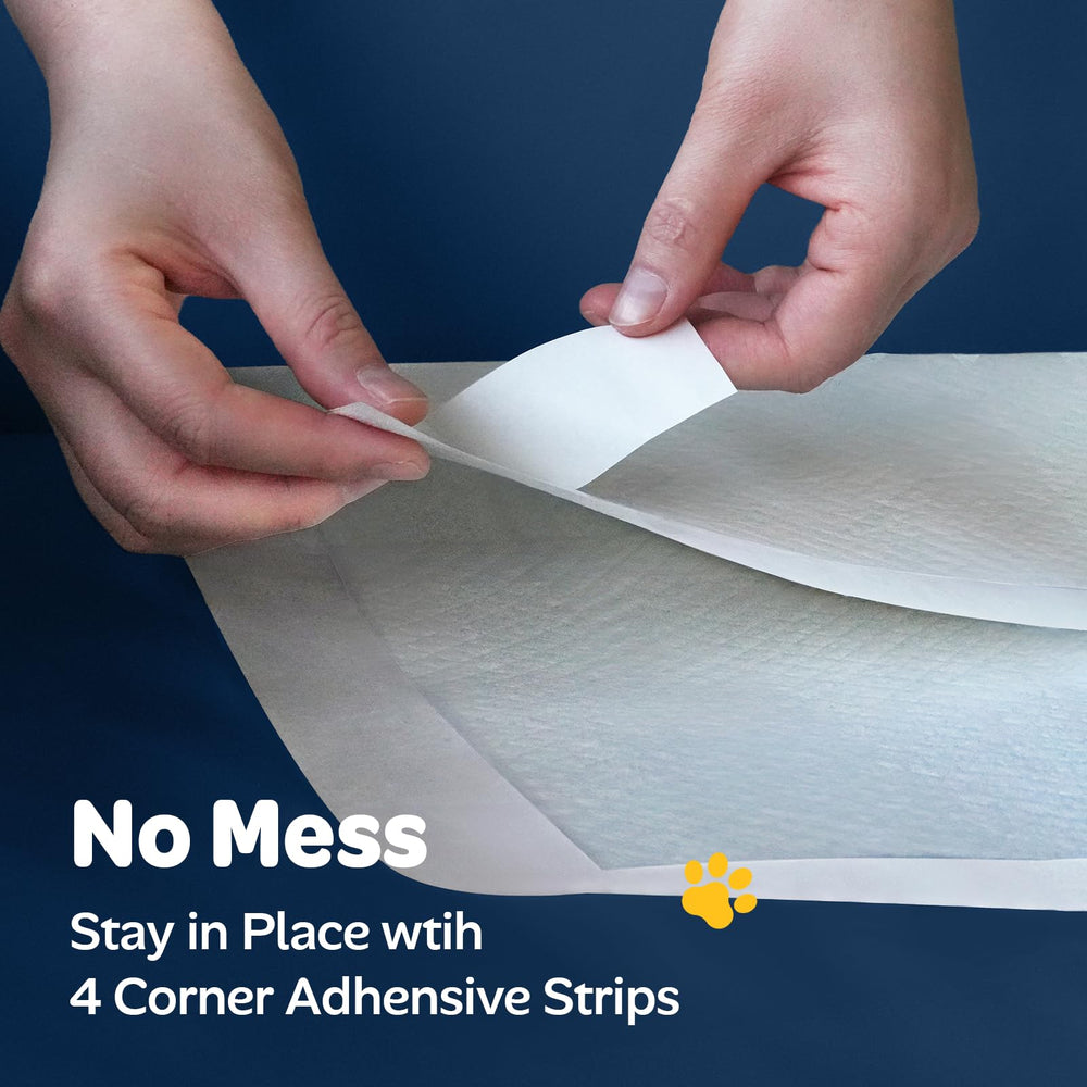 Doporro disposable bed pad pack provides economical protection for daily use.