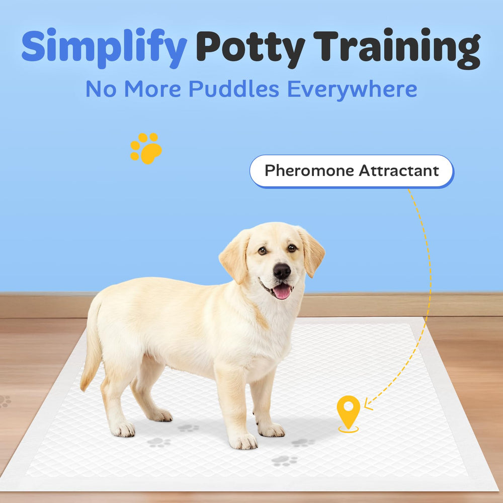 Doporro underpads suitable for dogs, babies, and adults.