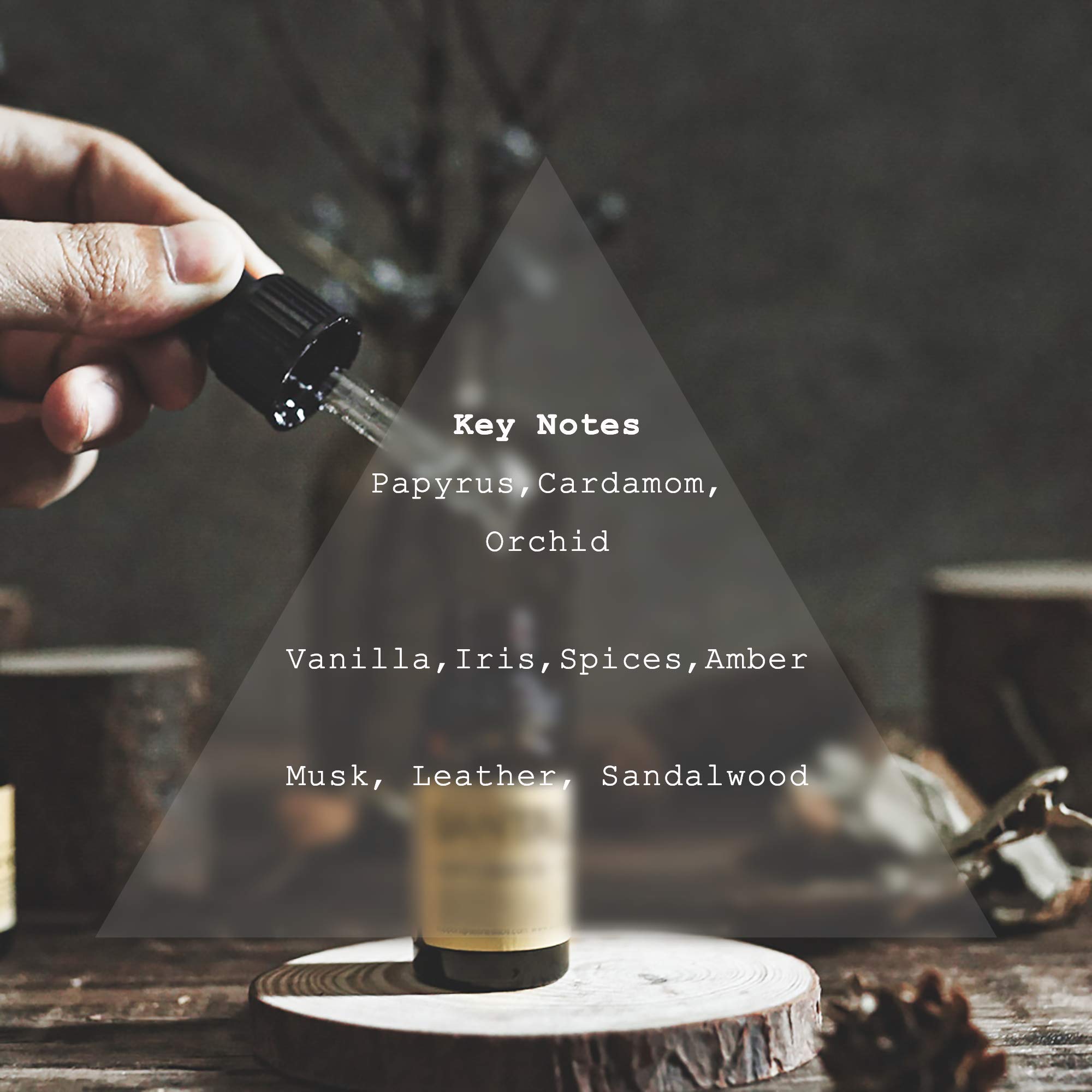 Doratelier Santal Diffuser Oil dropper and orifice reducer ready for easy scent control