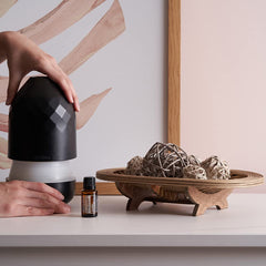 Diffuser scene with doTERRA Copaiba for a calm, balanced mood.