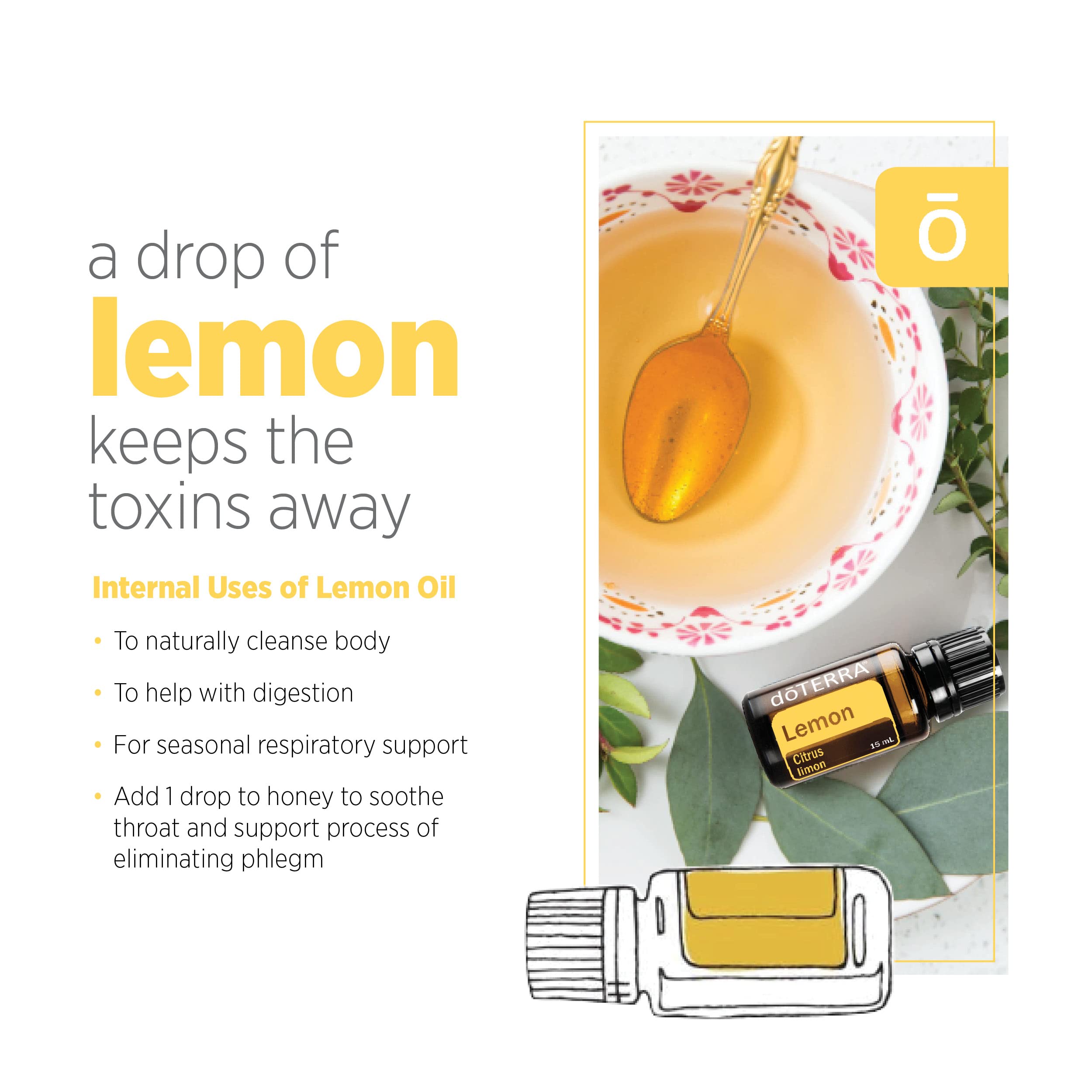 Cold-pressed lemon oil extraction from lemon rind process image