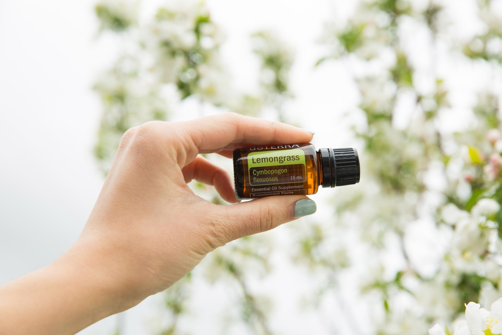 doTERRA Lemongrass label closeup showing premium packaging and purity cues