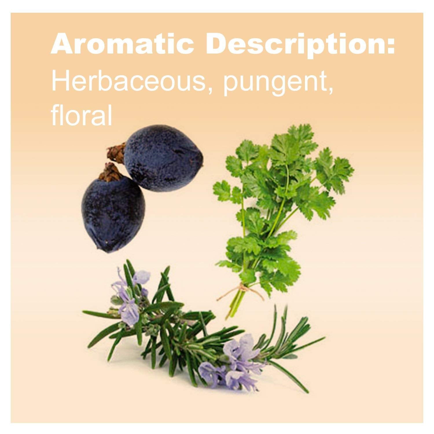 doTERRA Zendocrine bottle with drops shows easy dosing for water, tea, or citrus drinks.