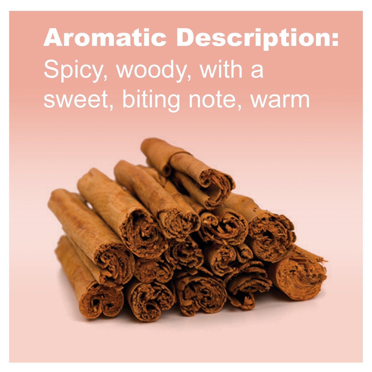 doTERRA Cinnamon essential oil diffuser setup releasing a cozy, inviting scent