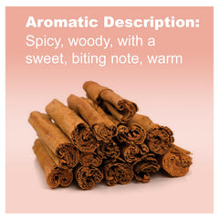 doTERRA Cinnamon essential oil diffuser setup releasing a cozy, inviting scent