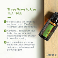 doTERRA Melaleuca leaves close-up illustrating calming scent and cooling skin feel
