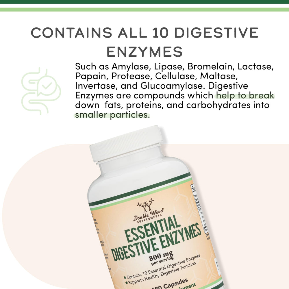 Double Wood daily routine setup demonstrates easy, consistent digestion support.