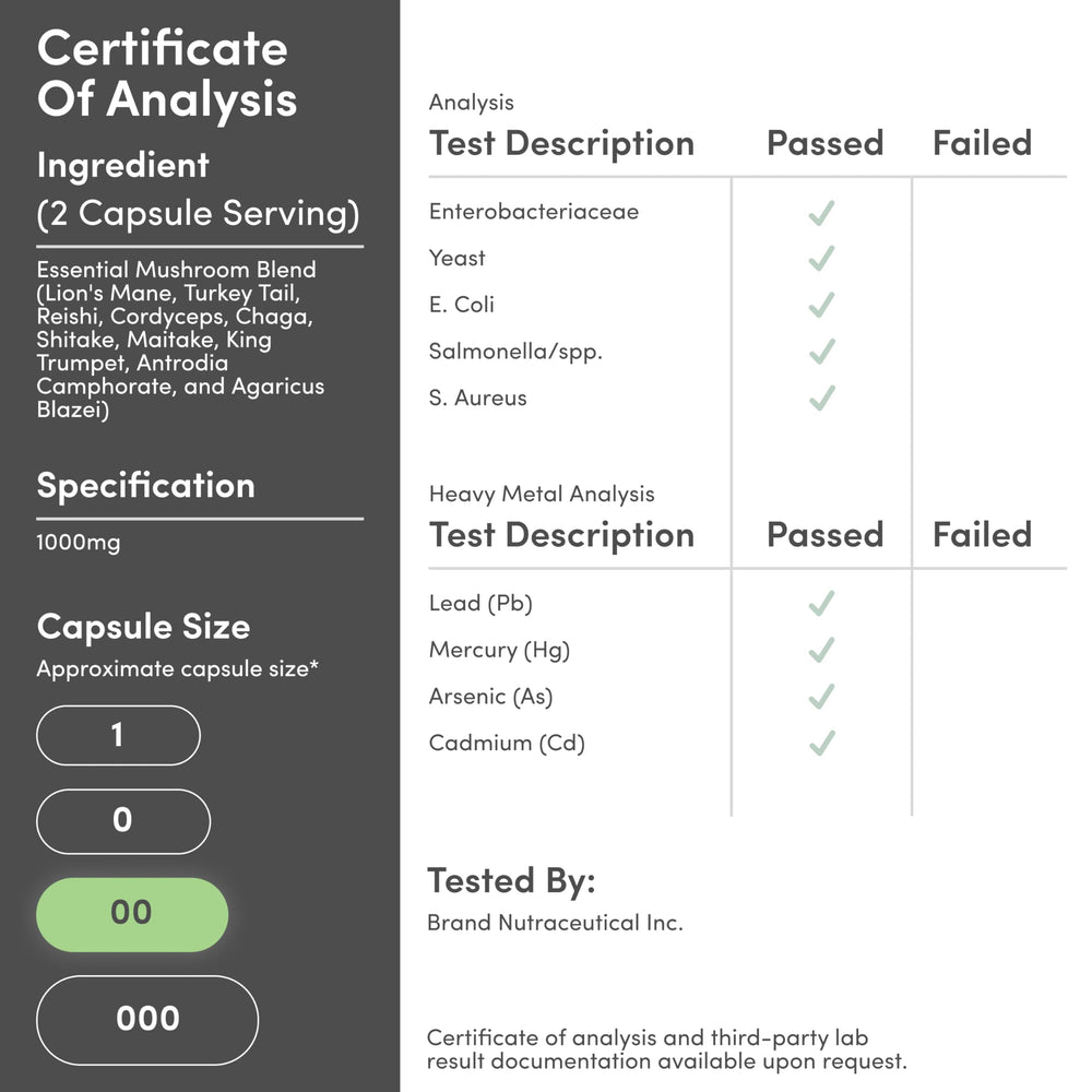 Double Wood Mushroom Complex capsules in hand symbolize convenient supplementation.