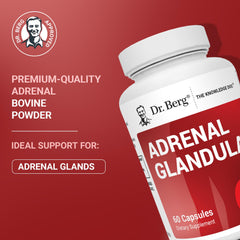 Dr. Berg Adrenal Glandular pour shows dose-ready serving