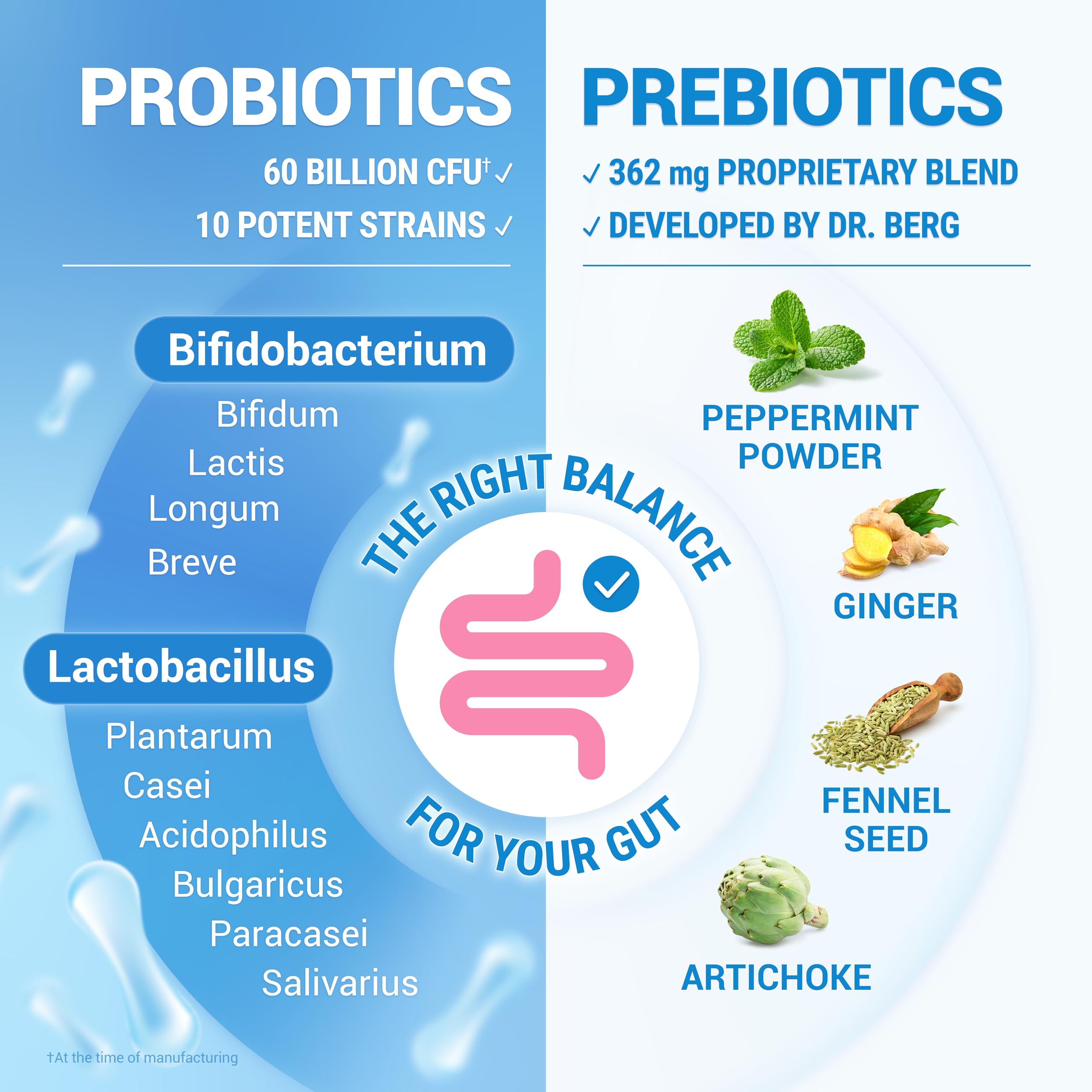 Dr. Berg probiotic capsule close-up highlighting high-CFU blend.