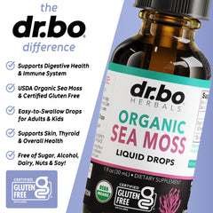 DR. BO Irish Sea Moss Drops glass with liquid ready to mix into drinks